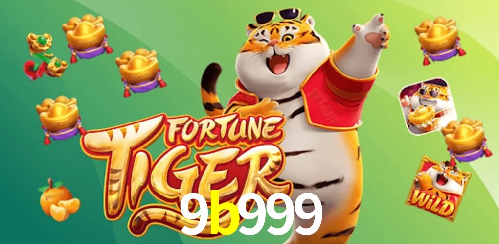 Experiência VIP 9b999
